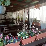 Casa David 3*