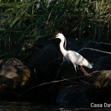 Casa David Affittacamere 3*