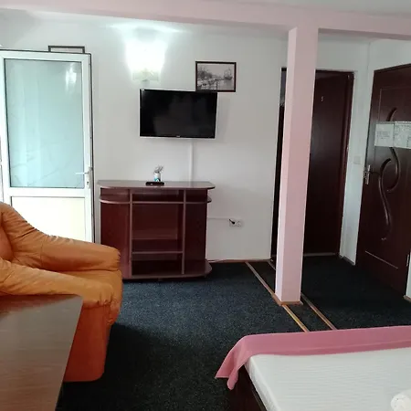 Casa David 3* Sulina