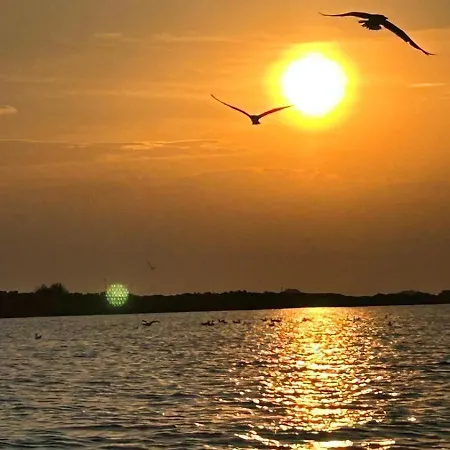 Affittacamere Casa David 3*