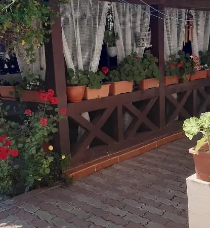 Casa David *