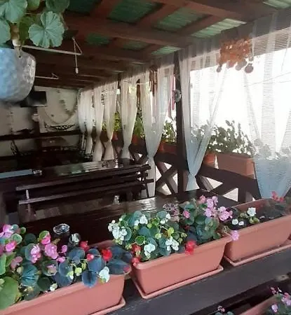 Casa David 3*