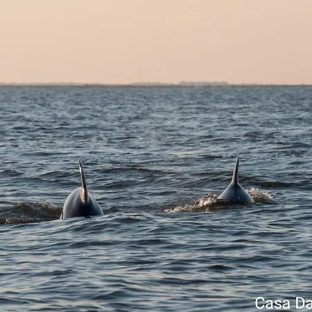 Casa David Pensión 3*