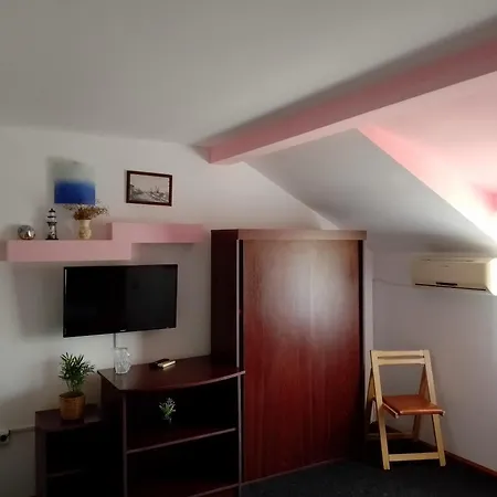 Guest house Casa David *